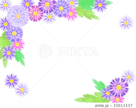 アスターのフレーム04 33011537