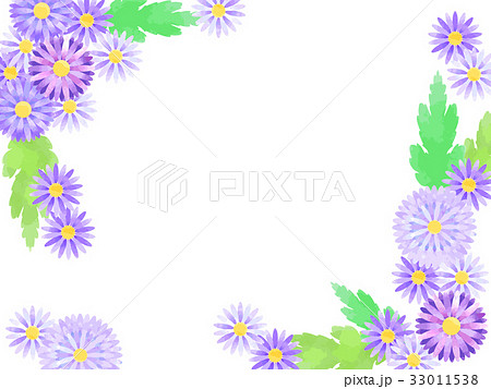 アスターのフレーム05のイラスト素材