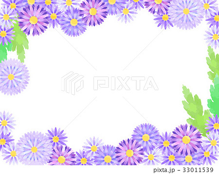 アスターのフレーム06 33011539