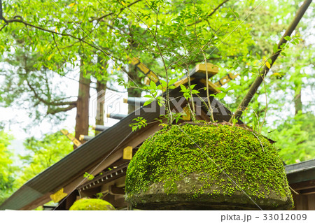 宮崎　高千穂　天岩戸神社 33012009