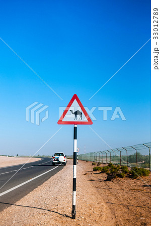 Camel crossing street sign 33012789