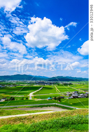 田園風景　夏　青空 33012946
