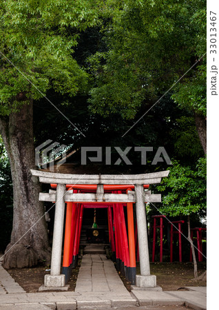 Japanese Gate - Torii Japanese Gate - Torii 33013467