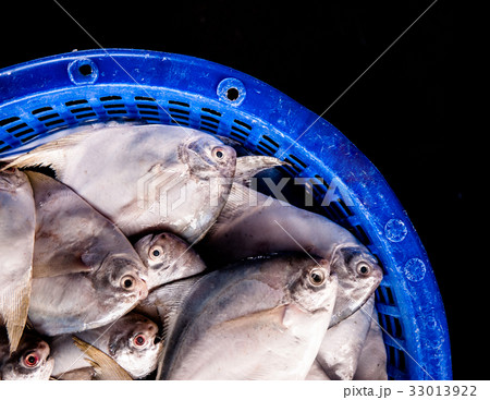 Fresh fish in seafood market, Thailand Fresh fish in seafood market, Thailand 33013922