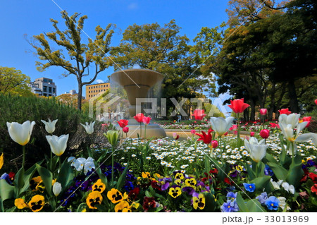 横浜公園の春 横浜公園の春 33013969