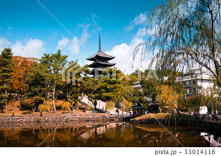 Japanese pagoda, Toji pagoda in Nara 33014116