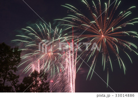 打上花火　【東武動物公園】 33014886