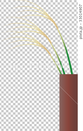 插图素材: 芒草