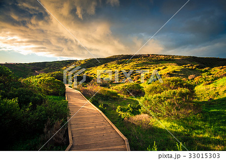 Hallett Cove park, South Australia Hallett Cove park, South Australia 33015303