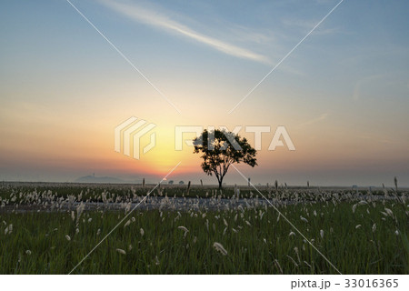 雲 夕焼け 空 33016365