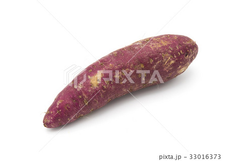 Sweet potato from Japan. Also known as "yakiimo" 33016373