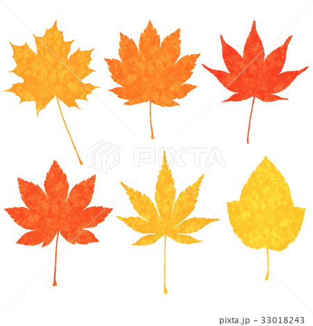 楓いろいろ パターンのイラスト素材
