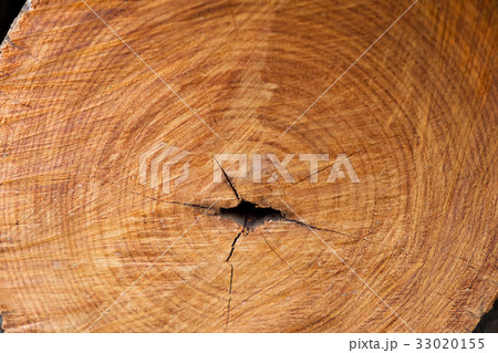 closeup of wooden logs, wood texture closeup of wooden logs, wood texture 33020155