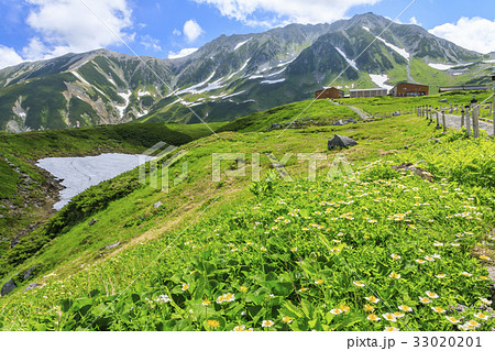 室堂 室堂 33020201