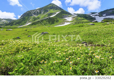 室堂 室堂 33020202