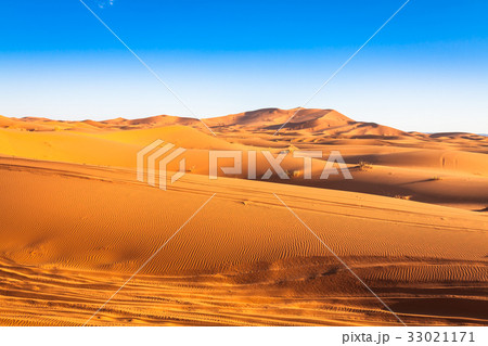 Sand Dunes in the Sahara Desert, Merzouga, Morocco 33021171