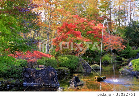 紅葉の日本庭園 紅葉の日本庭園 33022751