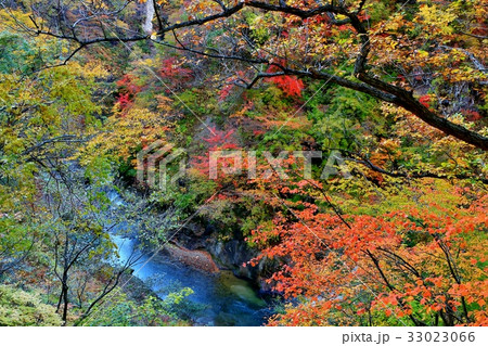 紅葉の鳴子郷 紅葉の鳴子郷 33023066