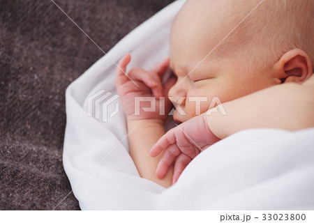 cute newborn baby in the blanket 33023800