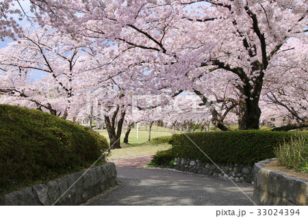 開成山公園(郡山市) 開成山公園(郡山市) 33024394