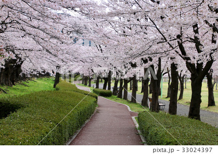 開成山公園（郡山市） 33024397