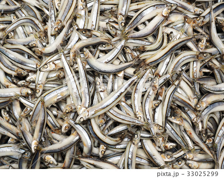Boiled silver anchovy Boiled silver anchovy 33025299