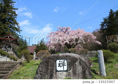 永泉寺の桜(須賀川市) 永泉寺の桜(須賀川市) 33025907