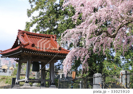 永泉寺の桜(須賀川市) 永泉寺の桜(須賀川市) 33025910