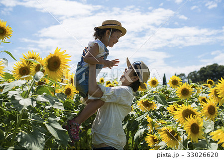 ヒマワリ畑と親子 ヒマワリ畑と親子 33026620