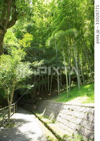 仙巌園 江南竹林 仙巌園 江南竹林 33026771