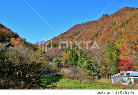 奥新川(おくにっかわ))の紅葉 奥新川(おくにっかわ))の紅葉 33026848