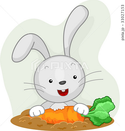 Rabbit Attentive Eating Carrot Garden 33027153