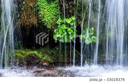 男鹿の滝 16:9(清里町) 男鹿の滝 16:9(清里町) 33028376