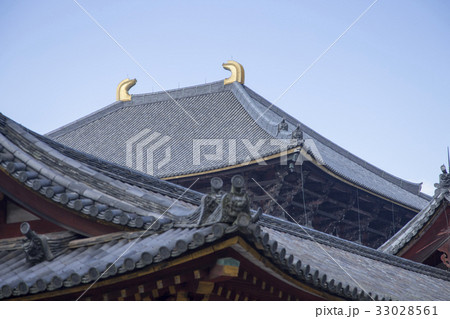 秋の東大寺大仏殿 33028561
