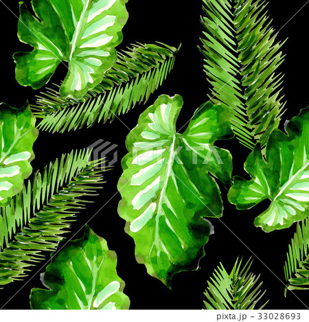Tropical Hawaii leaves palm tree pattern in a 33028693