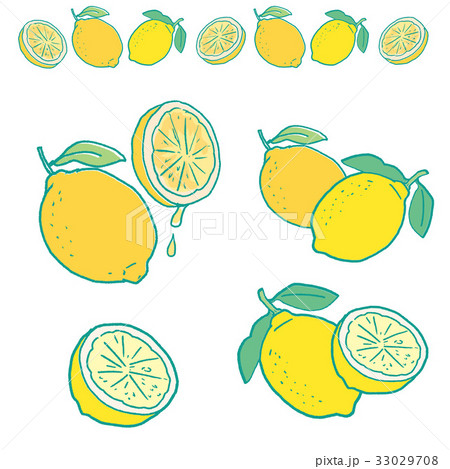 檸檬 レモン イラストのイラスト素材
