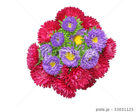 アスターの花束 33031125