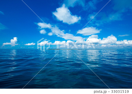 sea 33031519