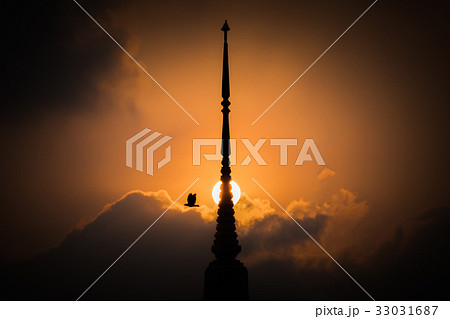 Bird flying with pagoda sunset background 33031687