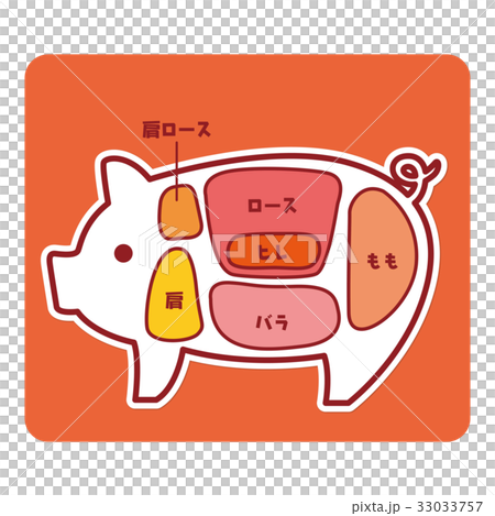 食物図解/豚肉の部位 33033757