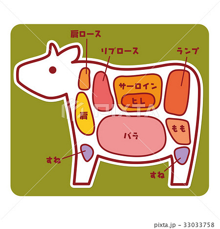 食物図解/牛肉の部位 33033758