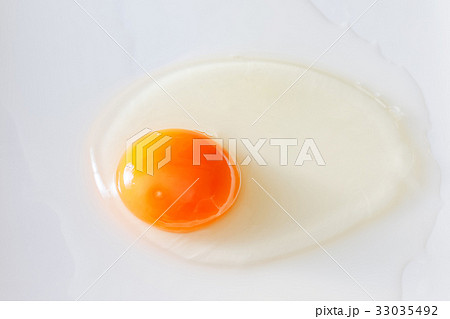 生卵 33035492