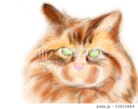 ネコ　イラスト 33035664