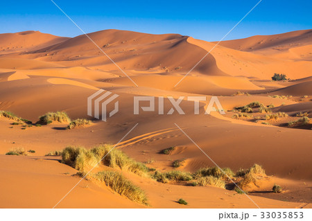 Sand Dunes in the Sahara Desert, Merzouga, Morocco 33035853