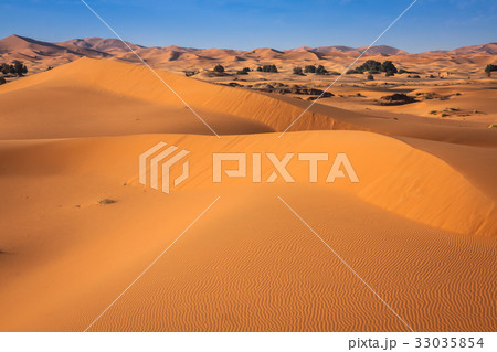 Sand dunes in the Sahara Desert, Merzouga, Morocco Sand dunes in the Sahara Desert, Merzouga, Morocco 33035854
