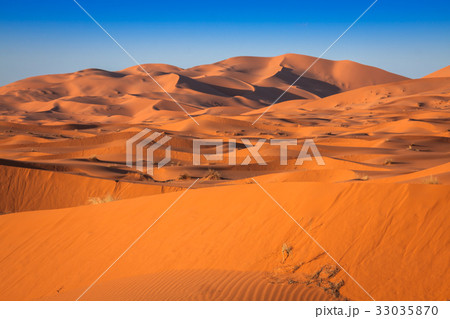 Sand Dunes of Erg Chebbi int he Sahara Desert Sand Dunes of Erg Chebbi int he Sahara Desert 33035870