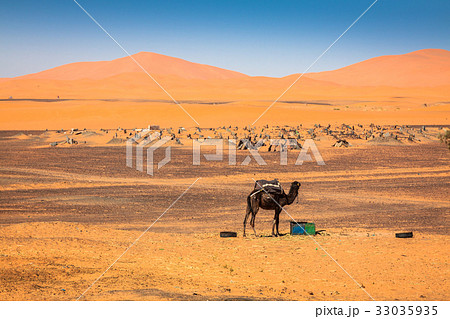 Sand Dunes of Erg Chebbi int he Sahara Desert Sand Dunes of Erg Chebbi int he Sahara Desert 33035935