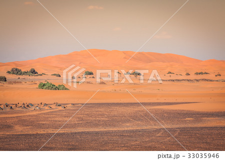 Sand Dunes in the Sahara Desert, Merzouga, Morocco 33035946