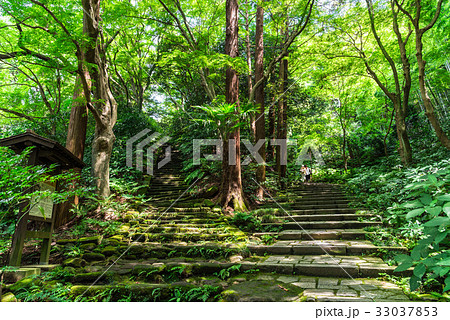 鎌倉　瑞泉寺　参道石段 33037853