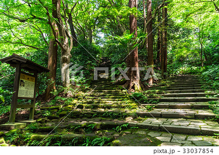 鎌倉　瑞泉寺　参道石段 33037854